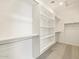 Large walk-in closet with shelving and hanging rods at 22526 W Tonopah Dr, Surprise, AZ 85387