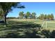 Spacious sports field with manicured lawn and soccer goals, ideal for recreational activities and team sports at 4196 E Bonanza Rd, Gilbert, AZ 85297