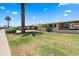 Charming exterior view with mature trees, desert landscaping and a well-maintained lawn at 11038 W Windsor Dr, Sun City, AZ 85351