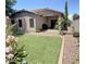 Well-maintained backyard featuring artificial turf, landscaped borders, and a covered patio at 901 W Witt Ave, Queen Creek, AZ 85140