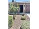 Charming front entrance featuring xeriscape, a security door, and a well-manicured lawn at 901 W Witt Ave, Queen Creek, AZ 85140