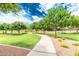 Scenic walking path through a park with mature trees and lush green grass, perfect for a relaxing stroll at 901 W Witt Ave, Queen Creek, AZ 85140