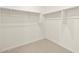 Large walk-in closet with double hanging rods at 16014 W Cottontail Ln, Surprise, AZ 85387