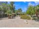 Expansive backyard featuring desert landscaping, including mature palm trees and colorful shrubs under a clear blue sky at 4222 E Brown Rd # 31, Mesa, AZ 85205