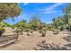 Sprawling backyard with gravel ground cover, mature trees, flowering bushes, and a comfortable bench at 4222 E Brown Rd # 31, Mesa, AZ 85205