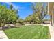 Lush green backyard featuring a well-manicured lawn and mature landscaping at 4222 E Brown Rd # 31, Mesa, AZ 85205