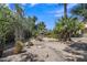 Lush backyard with a rock pathway, mature trees, and cacti under a bright blue sky, creating a serene outdoor space at 4222 E Brown Rd # 31, Mesa, AZ 85205