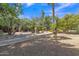 Picturesque backyard featuring lush trees and shrubs, with a gravel path under a clear blue sky, creating a peaceful outdoor retreat at 4222 E Brown Rd # 31, Mesa, AZ 85205