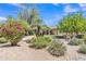 Landscaped front yard showcasing vibrant bougainvillea and mature palm trees enhancing curb appeal under a clear sky at 4222 E Brown Rd # 31, Mesa, AZ 85205