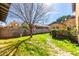 Lush backyard featuring mature trees, a spacious lawn, and a charming exterior at 38 W Lynwood St, Phoenix, AZ 85003