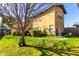 Large backyard featuring a mature tree, lush lawn, and views of the home's exterior at 38 W Lynwood St, Phoenix, AZ 85003