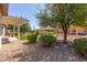 Well-maintained backyard with artificial turf, gravel landscaping, and mature trees at 13335 W Broken Arrow Dr, Sun City West, AZ 85375