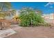 Backyard with shed and landscaping at 821 E Roeser Rd, Phoenix, AZ 85040