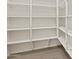 Walk-in pantry with ample shelving providing generous storage space at 4919 W Hunter Trl, San Tan Valley, AZ 85144