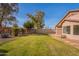 Grass backyard with stone pathway and mature trees at 3011 E Colonial Pl, Chandler, AZ 85249