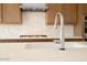 Close-up of a kitchen with stainless steel sink, quartz countertops, and stainless steel appliances at 829 W Golden Ore Pass, Apache Junction, AZ 85120