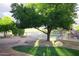 Community playground with mature tree, seating, and play equipment at 2116 N 81St Cir, Mesa, AZ 85207