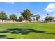 Community park featuring green grass, mature trees, and playground at 11275 N 99Th Ave # 145, Peoria, AZ 85345