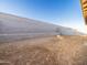 The large backyard features a privacy wall at 22455 W Pontiac Dr, Surprise, AZ 85387