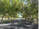 This street has sidewalks, lamp posts, and a canopy of shade trees in the Circle G Ranches community at 2166 E Caroline Ln, Tempe, AZ 85284