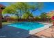 Stunning pool featuring vibrant water and desert landscaping, perfect for a relaxing retreat at 1416 E Sapium Way, Phoenix, AZ 85048