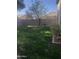 Spacious backyard with grassy lawn and a tree at 3259 E Isaiah Ct, Gilbert, AZ 85298