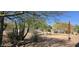 Inviting backyard with a well-maintained pool, desert plants, and ample space for outdoor activities at 2926 W Tanya Trl, Phoenix, AZ 85086