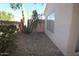 Desert-landscaped backyard with mature cacti and a view of the home's exterior at 17316 N Inca Pl, Surprise, AZ 85374