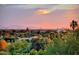 Expansive city skyline view at sunset, complemented by lush greenery and palm trees in the foreground at 4836 E White Gates Dr, Phoenix, AZ 85018