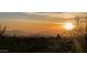 Scenic sunset view of the city skyline and mountains, framed by trees at 4836 E White Gates Dr, Phoenix, AZ 85018