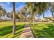 Cement sidewalk through the landscaped community with mature shade trees and green spaces at 4301 E Taurus Pl, Chandler, AZ 85249