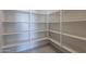 Spacious pantry with ample shelving for storage at 19026 W Ocotillo Rd, Waddell, AZ 85355