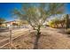 Equestrian property featuring fenced horse paddocks with a mature shade tree at 15339 E Red Bird Rd, Scottsdale, AZ 85262