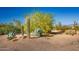 Desert landscape with cacti, agave and a flowering tree on a sunny day at 15339 E Red Bird Rd, Scottsdale, AZ 85262