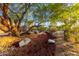 Beautiful backyard featuring mature trees, rock features, and desert landscaping creating a serene outdoor space at 10647 N 82Nd Pl, Scottsdale, AZ 85260