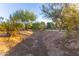 Landscaped yard featuring a dry creek bed, natural desert landscaping and mature trees at 10647 N 82Nd Pl, Scottsdale, AZ 85260
