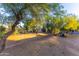 Landscaped front yard featuring natural desert landscaping and mature trees at 10647 N 82Nd Pl, Scottsdale, AZ 85260