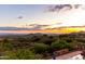 Panoramic desert views from a backyard with a pool and green desert landscaping at sunset at 42383 N 111Th Pl, Scottsdale, AZ 85262