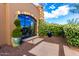 Charming exterior showcasing a large window, decorative plants, and a stone pathway, enhancing curb appeal at 42383 N 111Th Pl, Scottsdale, AZ 85262