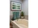 Close-up view of a bathtub with wall decor and plant at 1859 N Morris --, Mesa, AZ 85201