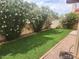 Beautiful backyard featuring well-maintained green grass and lovely flowering bushes along the walls at 2164 S Catarina --, Mesa, AZ 85202