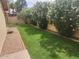 Well-kept backyard with green grass and privacy landscaping creating a serene outdoor space at 2164 S Catarina --, Mesa, AZ 85202