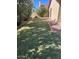 A backyard lawn features newly laid sod, brick edging, and lush trees and shrubs at 2164 S Catarina --, Mesa, AZ 85202
