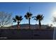 Scenic desert landscape featuring palm trees, mountains in background, and blue sky at 823 S Silvercreek Ct, Casa Grande, AZ 85122