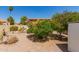 Back yard featuring desert landscaping, a lush citrus tree, and pavers at 542 S Higley Rd # 99, Mesa, AZ 85206
