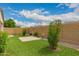 Backyard with decorative plants, green grass, and a backyard privacy wall at 10065 E Thatcher Ave, Mesa, AZ 85212
