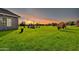 Landscaped backyard with grassy area and partial house view at 28308 N 157Th Pl, Scottsdale, AZ 85262