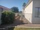 Fenced garden area and grassy lawn, offering a private outdoor space at 18029 W San Miguel Ave, Litchfield Park, AZ 85340