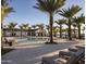 Inviting pool area featuring mature palm trees and comfortable lounge chairs for relaxing and enjoying the sunny weather at 17643 W Middlebury St, Surprise, AZ 85388