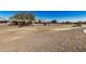 Open grassy area within a community, surrounded by gravel and residential homes at 5411 W Grenadine Rd, Laveen, AZ 85339